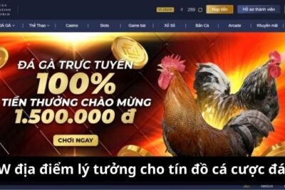 MCW – Nơi Khơi Gợi Niềm Đam Mê Cá Cược Của Bạn!