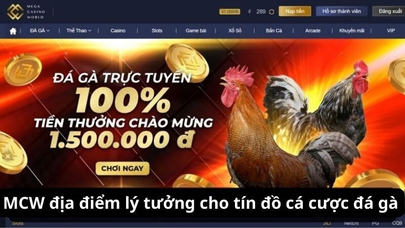 MCW địa điểm lý tưởng cho tín đồ cá cược đá gà