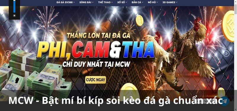 Tổng quan về đá gà MCW