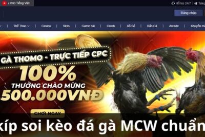 MCW – Bật mí bí kíp soi kèo đá gà trực tuyến chuẩn xác