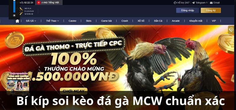 Bí kíp soi kèo đá gà MCW chuẩn xác